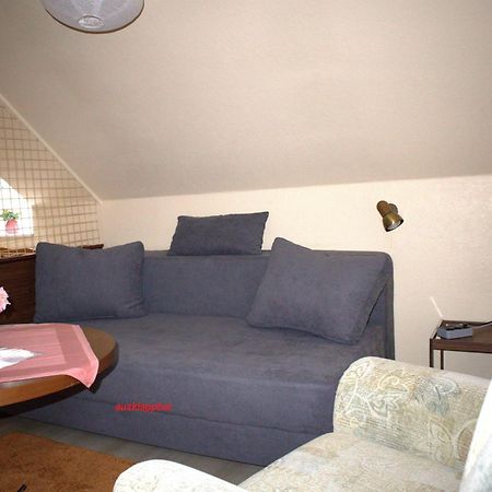 Appartamento Birkenstuebchen Lautenthal Esterno foto