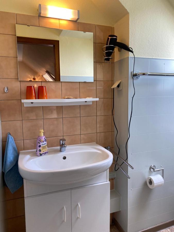 Appartamento Birkenstuebchen Lautenthal Esterno foto