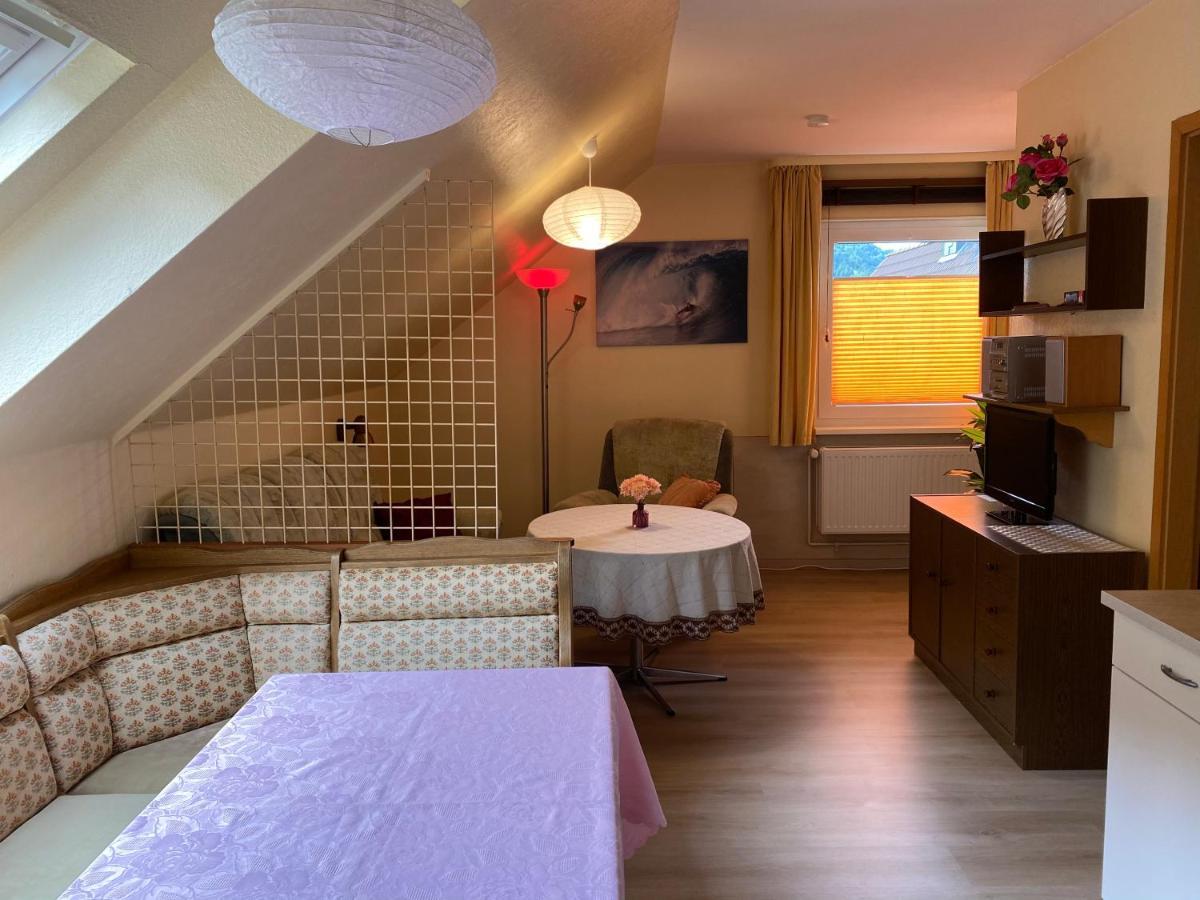 Appartamento Birkenstuebchen Lautenthal Esterno foto