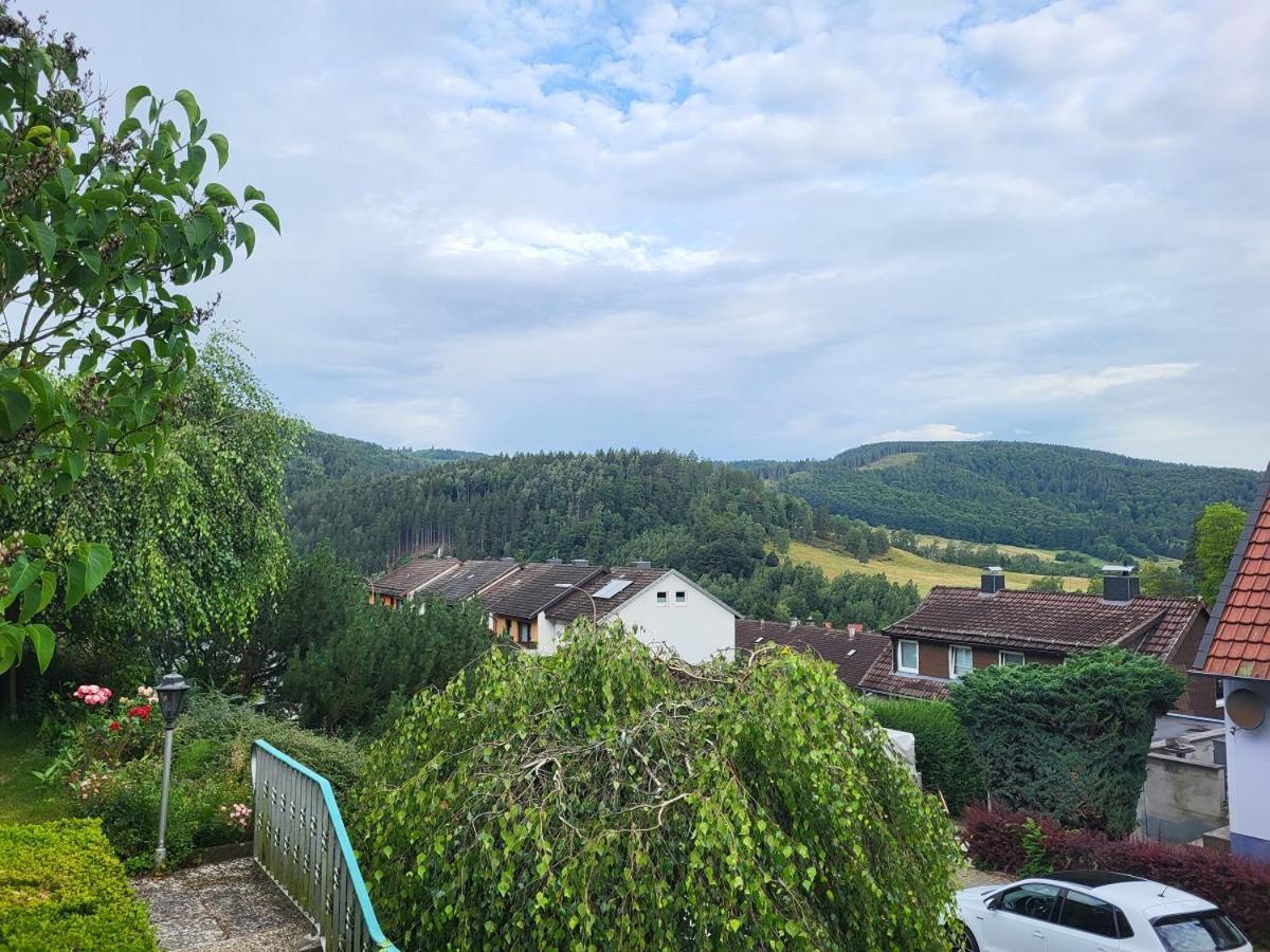 Appartamento Birkenstuebchen Lautenthal Esterno foto
